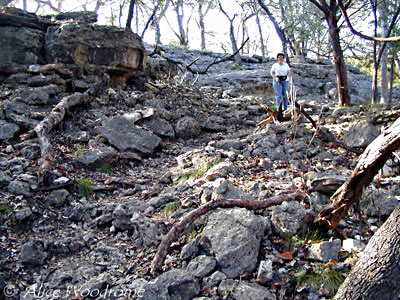 Chris at the top of the trail - Click for larger view