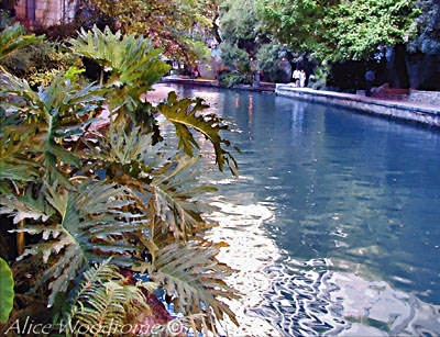I loved the lush tropical foliage that lined the banks of the river -- click to see larger version