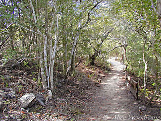 One of many hikes --Wild Basin Wilderness Preserve -- click to see larger version