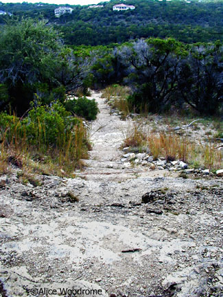 It is hard to see depth in flat pictures, but trust me, this trail went down down down into the basin - click to see larger size.