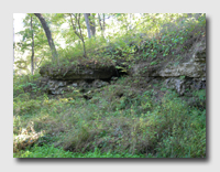 Another shot along the Coakley Hollow Trail