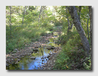 Stream through Coakley Hollow Trail