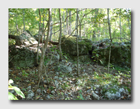 Coakley Hollow Trail