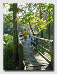 Jill on the Coakley Hollow Trail