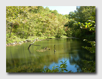 The Spring in the Gorge at Ha ha Tonka