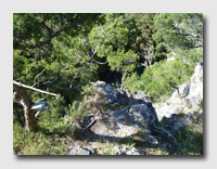 A look over the railing at the castle ruins