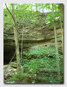 Natural Bridge