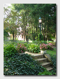 Could Front Steps be any Prettier?