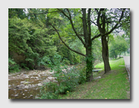 Along South Park Creek