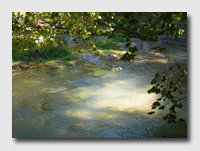 The water was crystal clear at the Spring