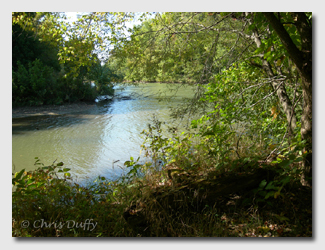 backwaters of the Glaize Arm of the Lake of the Ozarks