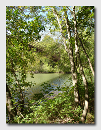 The Swinging Bridge Area was beautiful