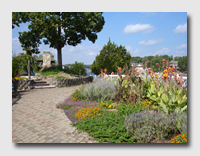 Butterfly garden at the Willmore Lodge