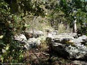 Rugged terrain in the woods at Eufaula