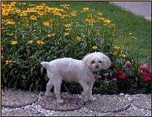 Annie in the Garden