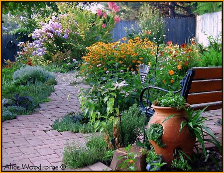 Garden in Early July