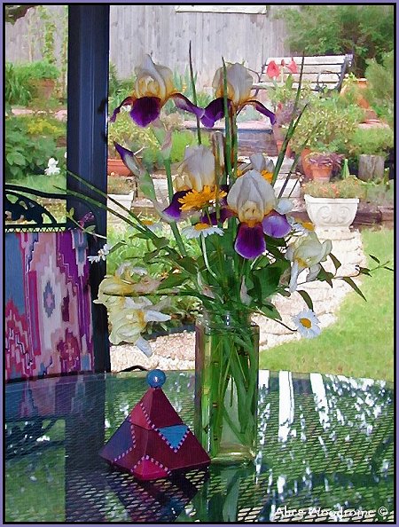 Flowers in Sunroom