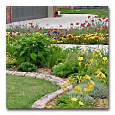 Beds on either side of driveway