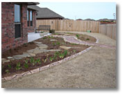 I cleared off the mulch from the back garden