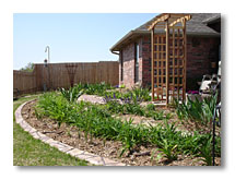 The daylilies are growing