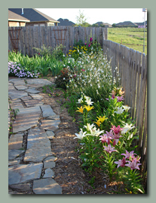 Along Back Fence as May Ends