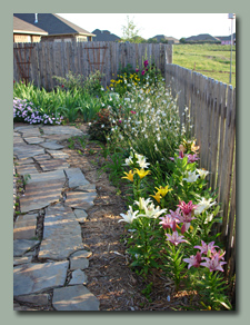 Along Back Fence as May Ends