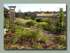 The Back Garden in August