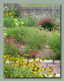 Back Garden in June