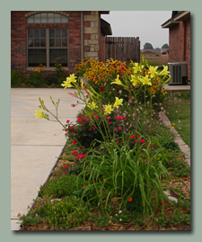 Driveway garden in Mid June