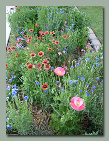 Prairie Garden along Driveway