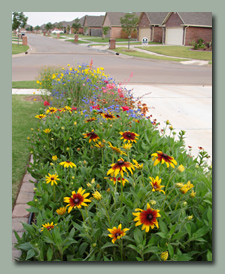 Driveway Prairie Garden