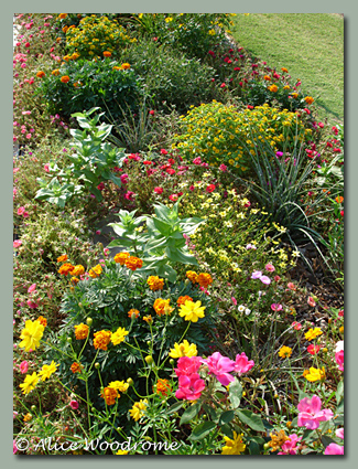 Front Bed Mid July