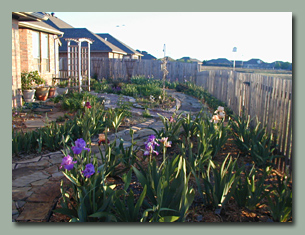 Backyard, Mid April