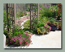 Under the Patio Arbor