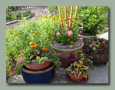 Pots on the Patio