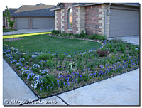 Front garden long shot