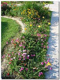 sidewalk flowerbed